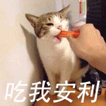 吃我安利