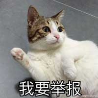 我要举报