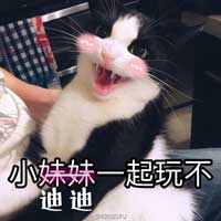 小妹妹一起玩不