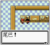 口袋妖怪金版图文流程攻略4