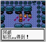 口袋妖怪金版图文流程攻略2