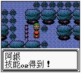 口袋妖怪金版图文流程攻略2