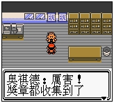 口袋妖怪金版图文流程攻略10