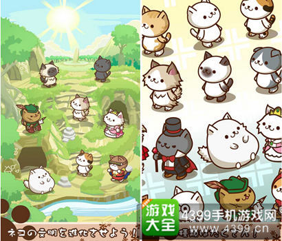 《猫咪星球》