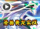 热血精灵派圣兽青龙实战