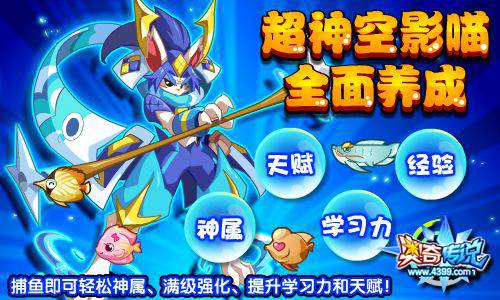 奥奇传说神诏空影喵捕鱼全面强化