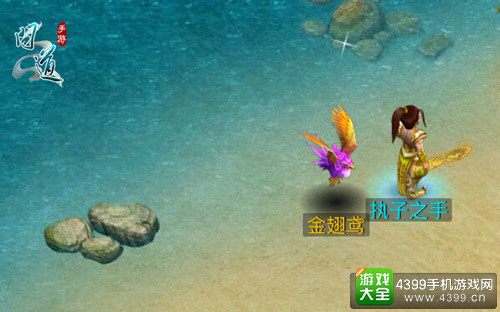 问道手游新宠物——金翅鸢