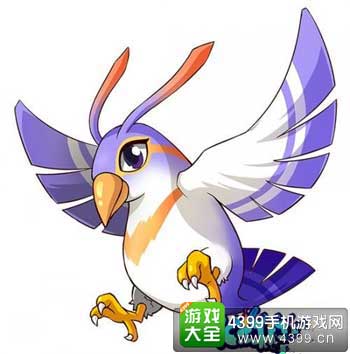凝视之鸟