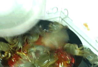 精品手游推荐
