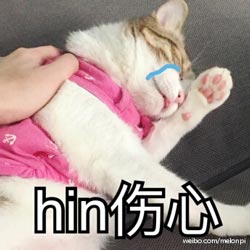 hin伤心