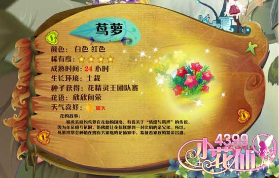 小花仙茑萝 小花仙茑萝花种
