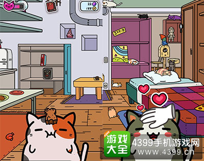 小偷猫