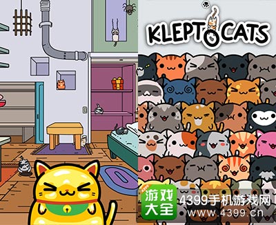 小偷猫