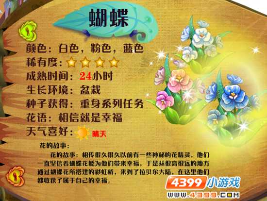 小花仙蝴蝶花花种