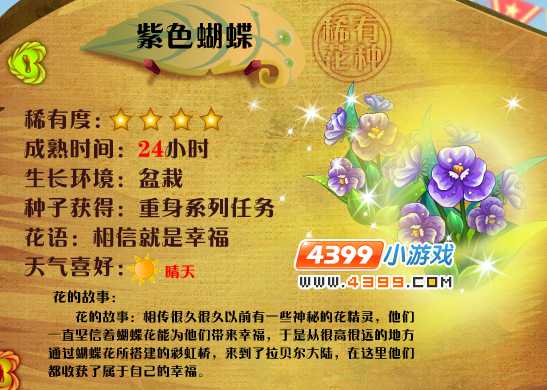 小花仙紫色蝴蝶花花种