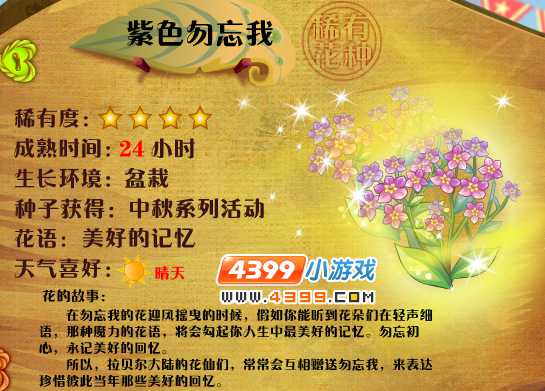 小花仙紫色勿忘我花种