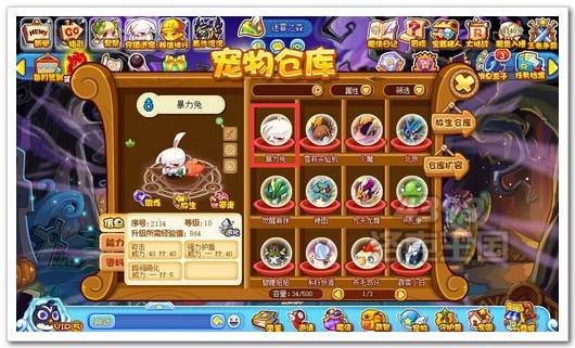 洛克王国仓库暴力兔