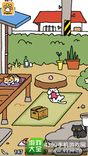 猫咪后院