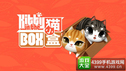 猫小盒