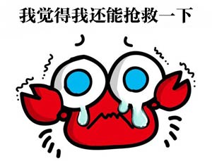 赛尔号2017年费精灵大预测