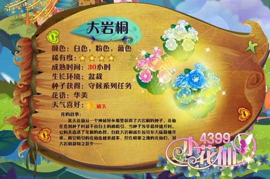 小花仙大岩桐 小花仙大岩桐花种