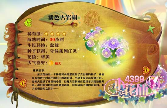 小花仙紫色大岩桐 小花仙紫色大岩桐花种