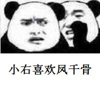 奥奇传说11月11日精灵盘点 光棍节女神