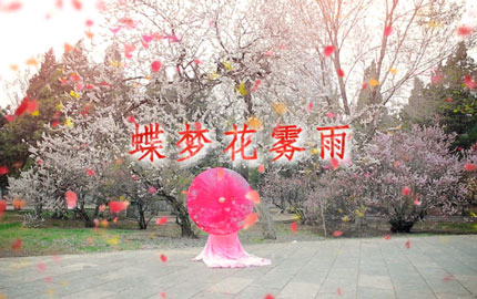 奇迹暖暖主题曲“蝶梦花雾雨”舞蹈版