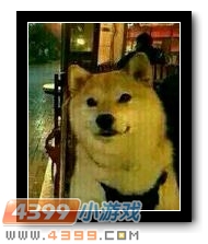 生死狙击话题讨论第35期