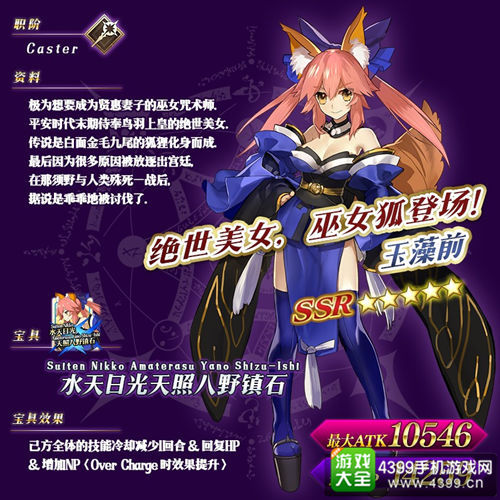 《Fate/Grand Order(命运-冠位指定)》