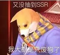 阴阳师表情包
