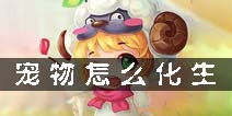 梦幻诛仙手游宠物怎么化生 宝宝化生攻略