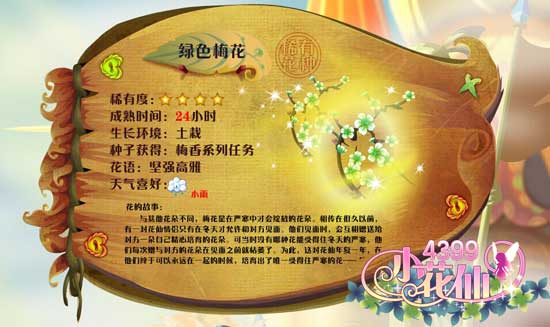 小花仙绿色梅花 小花仙绿色梅花花种