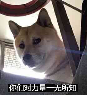 赛尔号春季战队赛开幕盛典12月24日盛大开启