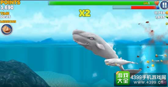 抹香鲸