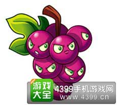 爆裂葡萄