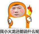 奥奇传说12月23日精灵盘点