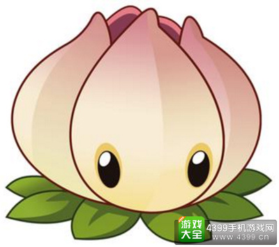 3级能量花