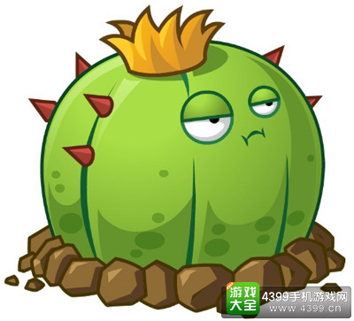 4级仙人球