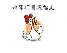 鸡年祝福！ 2017年春节拜年视频征集