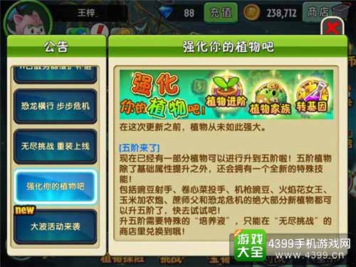 强化详情