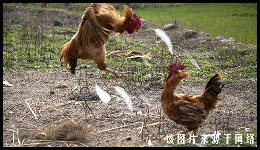 洪荒大劫篇年兽曝光 春节前最后一次爆料