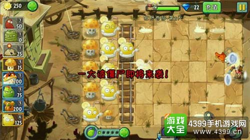 狂野西部