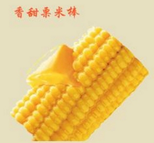 植物大战僵尸2