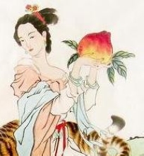 植物大战僵尸2