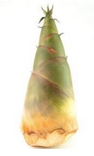 植物大战僵尸2