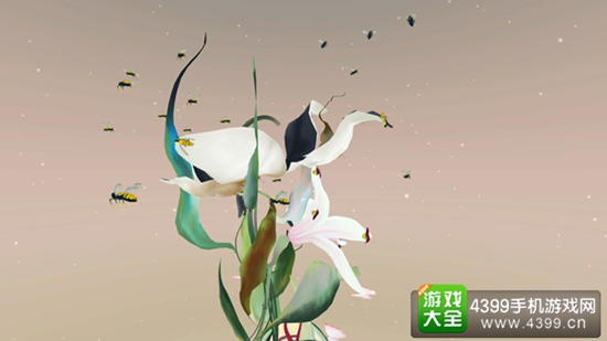 百合花