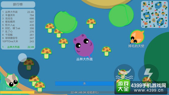 丛林大作战