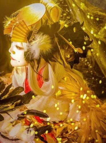 阴阳师姑获鸟