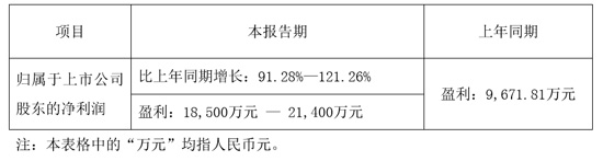 财报详情